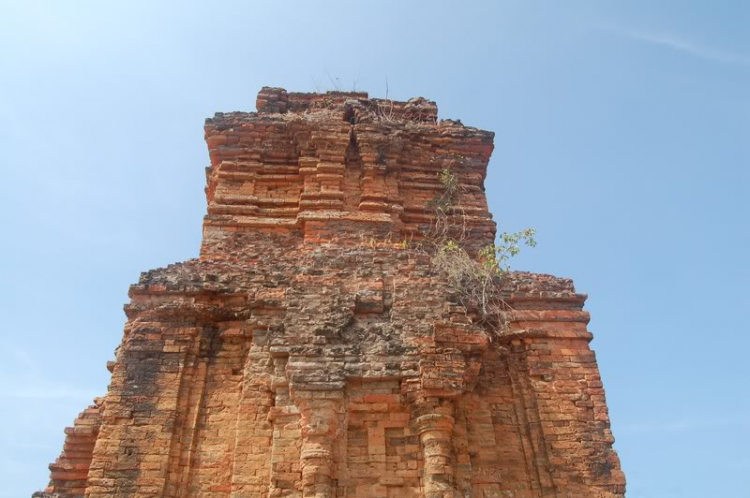 @ Hành trình tìm vịt xiêm phương nam và xuyên việt 2011 qua 2100 km @ Hành trình tìm vịt xiêm phương nam và xuyên việt 2011 qua 2100 km