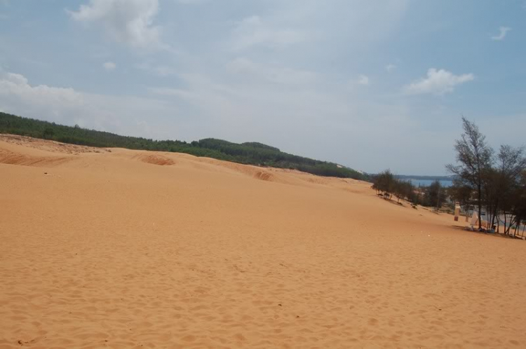 @ Hành trình tìm vịt xiêm phương nam và xuyên việt 2011 qua 2100 km @ Hành trình tìm vịt xiêm phương nam và xuyên việt 2011 qua 2100 km