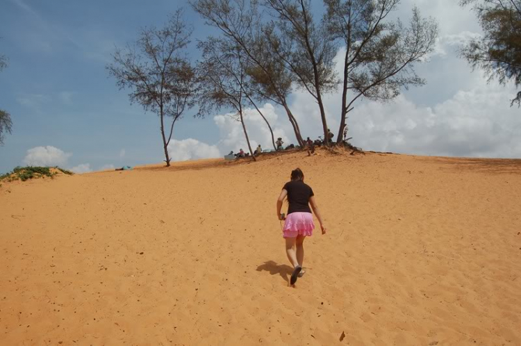 @ Hành trình tìm vịt xiêm phương nam và xuyên việt 2011 qua 2100 km @ Hành trình tìm vịt xiêm phương nam và xuyên việt 2011 qua 2100 km