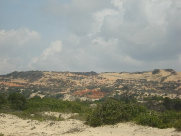 @ Hành trình tìm vịt xiêm phương nam và xuyên việt 2011 qua 2100 km @ Hành trình tìm vịt xiêm phương nam và xuyên việt 2011 qua 2100 km