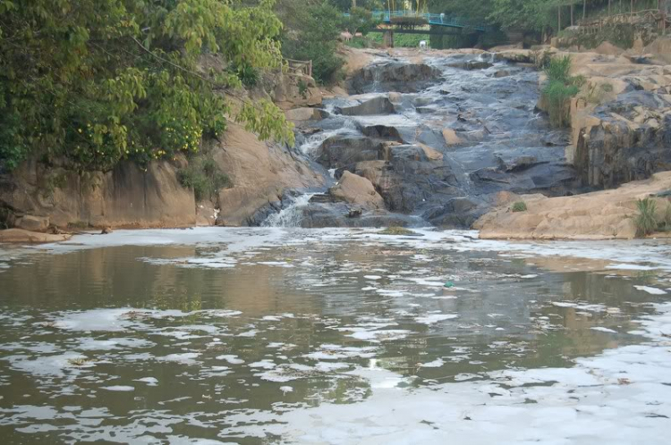 @ Hành trình tìm vịt xiêm phương nam và xuyên việt 2011 qua 2100 km @ Hành trình tìm vịt xiêm phương nam và xuyên việt 2011 qua 2100 km