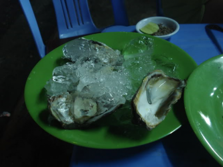 @ Hành trình tìm vịt xiêm phương nam và xuyên việt 2011 qua 2100 km @ Hành trình tìm vịt xiêm phương nam và xuyên việt 2011 qua 2100 km