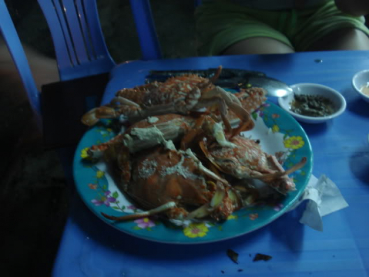 @ Hành trình tìm vịt xiêm phương nam và xuyên việt 2011 qua 2100 km @ Hành trình tìm vịt xiêm phương nam và xuyên việt 2011 qua 2100 km