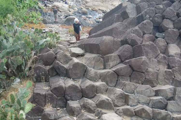 @ Hành trình tìm vịt xiêm phương nam và xuyên việt 2011 qua 2100 km @ Hành trình tìm vịt xiêm phương nam và xuyên việt 2011 qua 2100 km