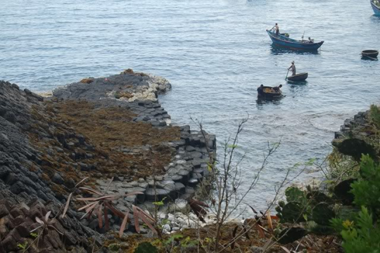 @ Hành trình tìm vịt xiêm phương nam và xuyên việt 2011 qua 2100 km @ Hành trình tìm vịt xiêm phương nam và xuyên việt 2011 qua 2100 km