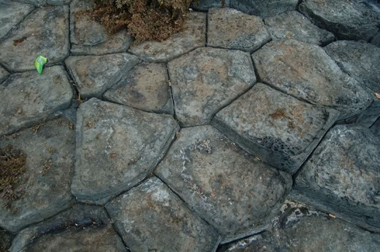 @ Hành trình tìm vịt xiêm phương nam và xuyên việt 2011 qua 2100 km @ Hành trình tìm vịt xiêm phương nam và xuyên việt 2011 qua 2100 km
