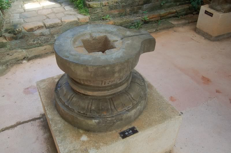 @ Hành trình tìm vịt xiêm phương nam và xuyên việt 2011 qua 2100 km @ Hành trình tìm vịt xiêm phương nam và xuyên việt 2011 qua 2100 km