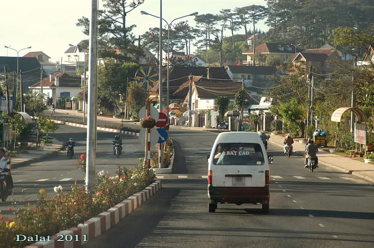 Góc ảnh dành cho Dalat