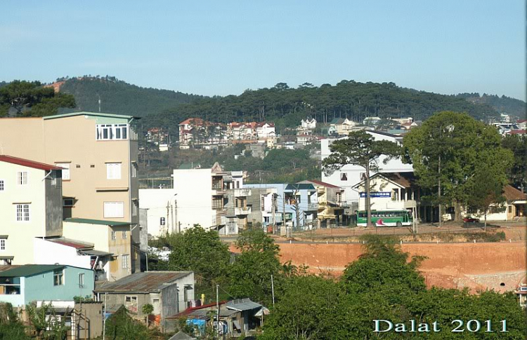 Góc ảnh dành cho Dalat