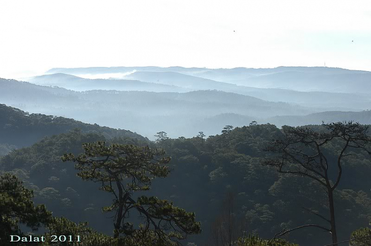 Góc ảnh dành cho Dalat