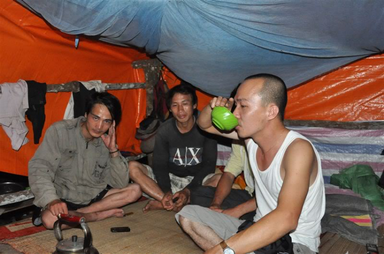 Sắc màu bóng đêm và những con ma rừng !!! Sắc màu bóng đêm và những con ma rừng !!!