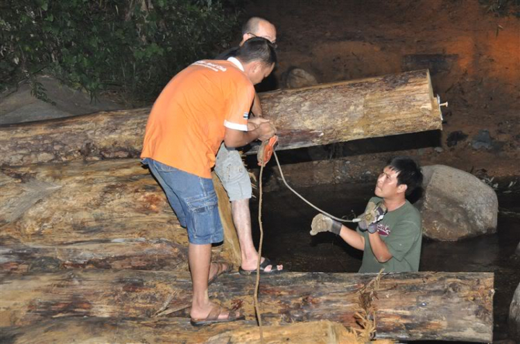 Sắc màu bóng đêm và những con ma rừng !!!