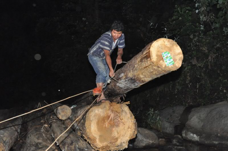 Sắc màu bóng đêm và những con ma rừng !!! Sắc màu bóng đêm và những con ma rừng !!!