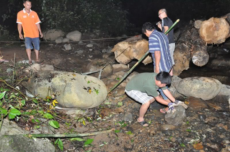 Sắc màu bóng đêm và những con ma rừng !!! Sắc màu bóng đêm và những con ma rừng !!!