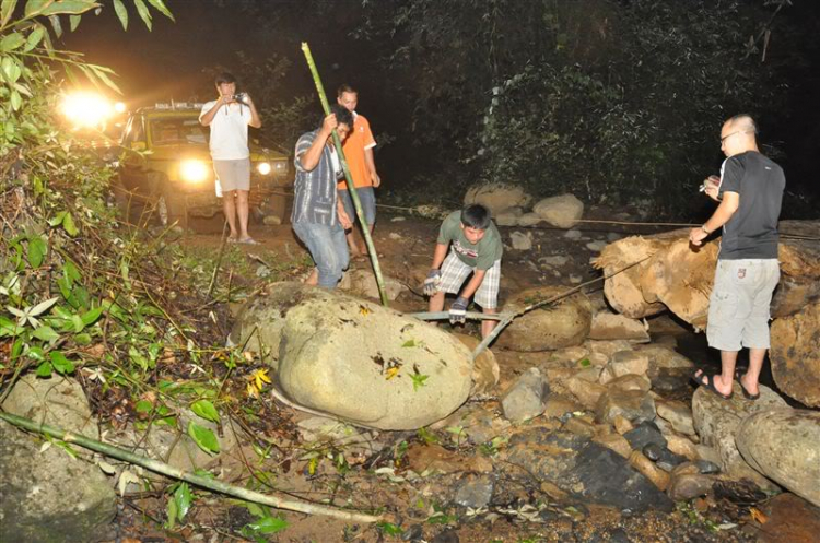 Sắc màu bóng đêm và những con ma rừng !!!