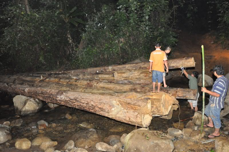 Sắc màu bóng đêm và những con ma rừng !!!