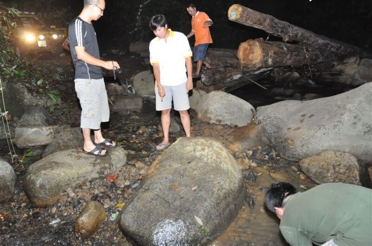 Sắc màu bóng đêm và những con ma rừng !!!