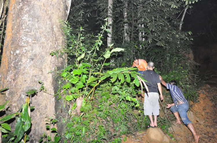 Sắc màu bóng đêm và những con ma rừng !!!