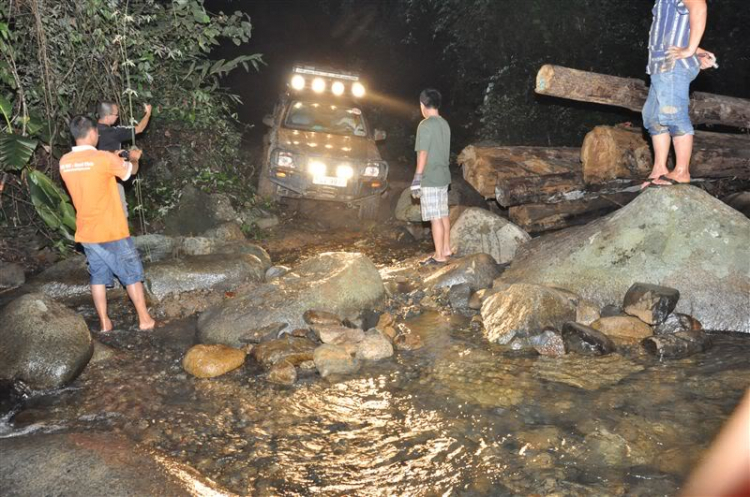 Sắc màu bóng đêm và những con ma rừng !!!