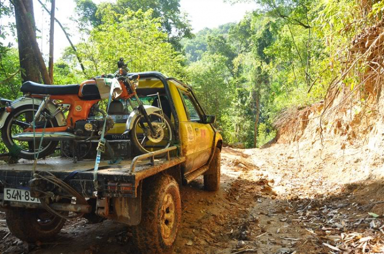 Sắc màu bóng đêm và những con ma rừng !!!