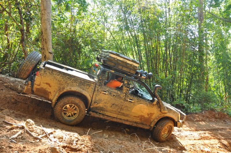 Sắc màu bóng đêm và những con ma rừng !!!