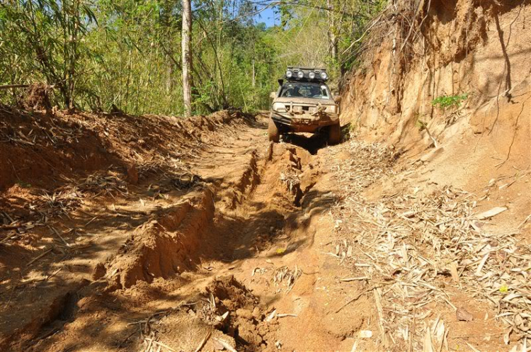 Sắc màu bóng đêm và những con ma rừng !!!