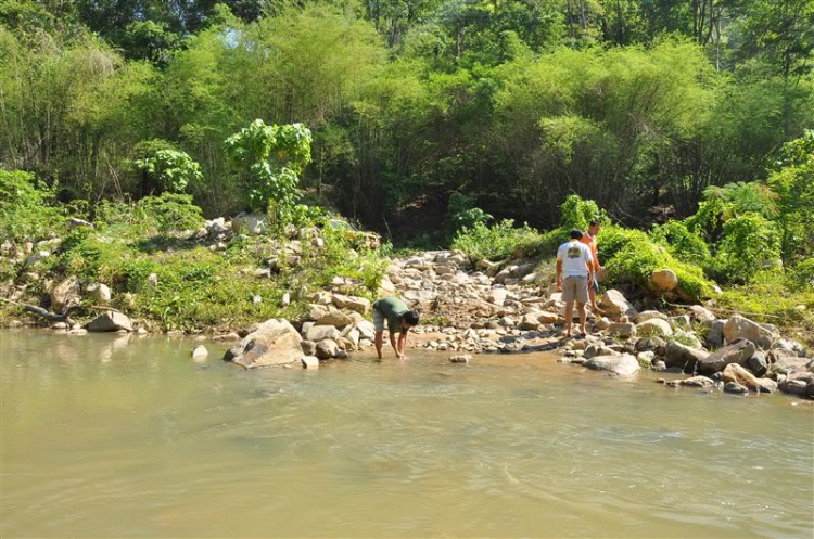 Sắc màu bóng đêm và những con ma rừng !!!