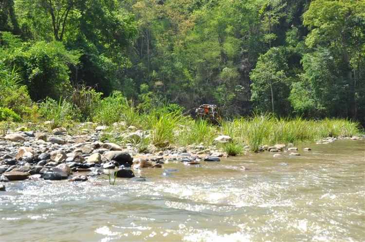 Sắc màu bóng đêm và những con ma rừng !!!