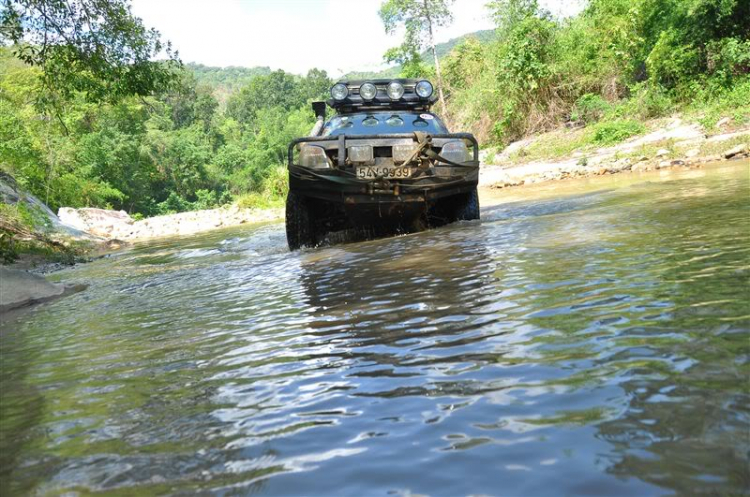 Sắc màu bóng đêm và những con ma rừng !!!