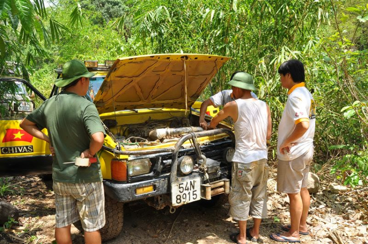 Sắc màu bóng đêm và những con ma rừng !!!