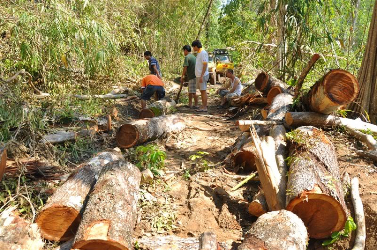 Sắc màu bóng đêm và những con ma rừng !!!