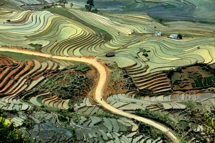 Ảnh vùng cao Ảnh vùng cao