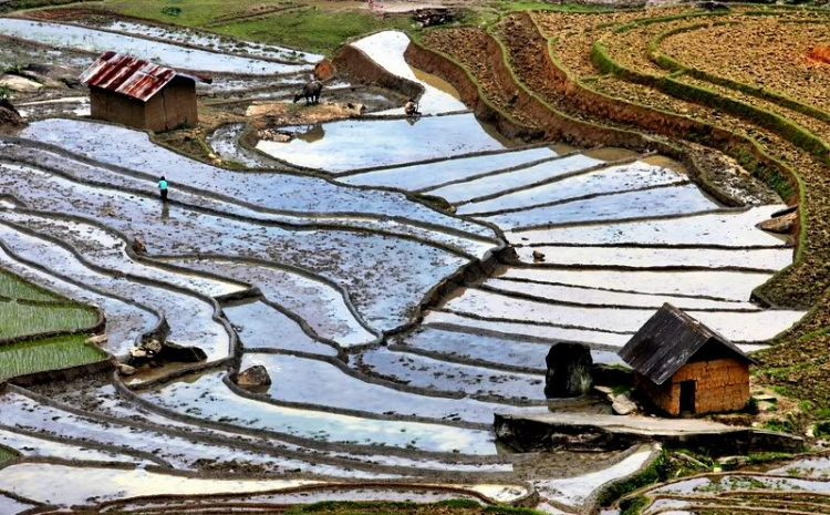 Ảnh vùng cao Ảnh vùng cao