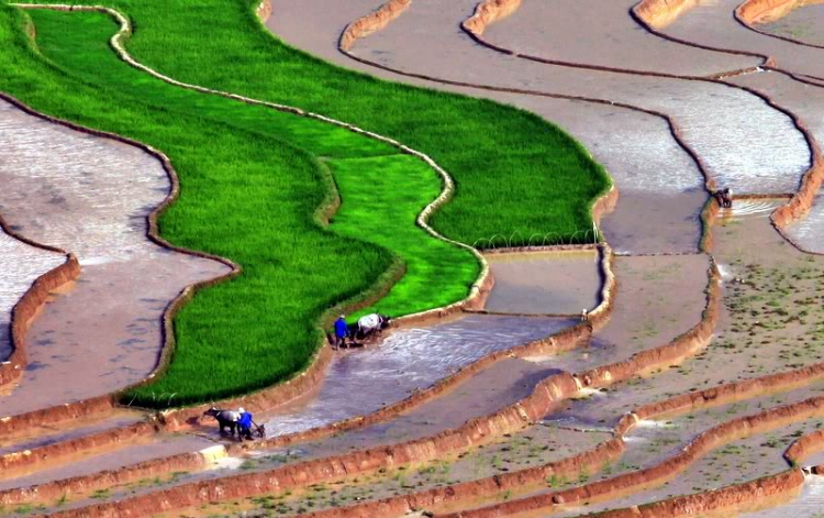 Ảnh vùng cao Ảnh vùng cao