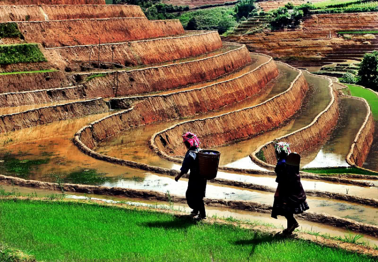 Ảnh vùng cao Ảnh vùng cao