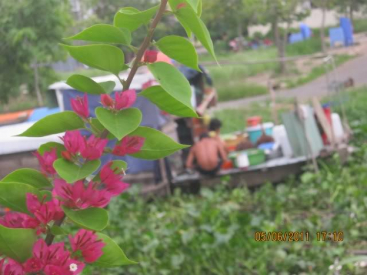 Góc ảnh XNL, chụp để thư giãn ...!!! Góc ảnh XNL, chụp để thư giãn ...!!!