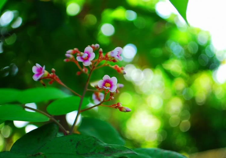 Trải nghiệm với Carl Zeiss Trải nghiệm với Carl Zeiss