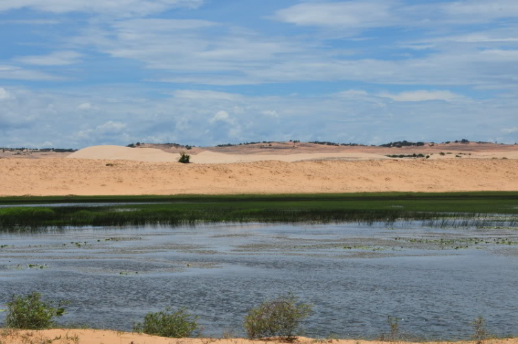 Cùng gia đình dạo chơi đồi cát Phan Thiết Cùng gia đình dạo chơi đồi cát Phan Thiết
