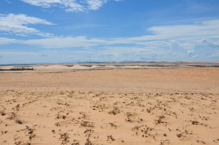Cùng gia đình dạo chơi đồi cát Phan Thiết Cùng gia đình dạo chơi đồi cát Phan Thiết