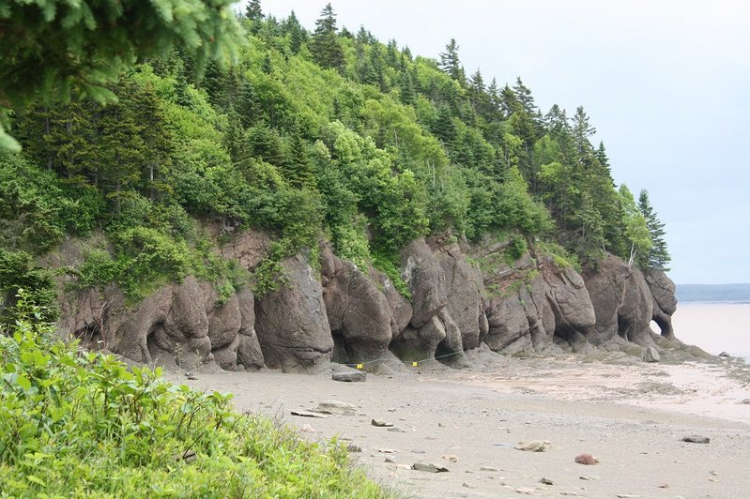 Một góc nhìn nhỏ về cuộc sống Canada.