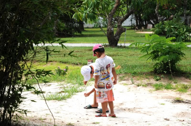 Xóm hẻm Lan Anh