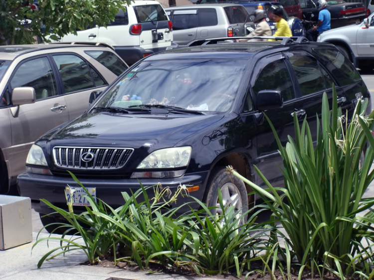 Mơ ước "nhỏ nhoi"  Lexus RX330