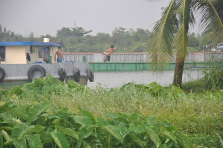 Tân Phú lập ấp