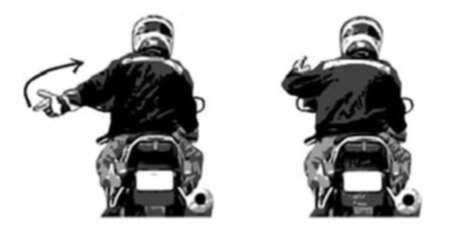 NGOINHAXANH và NHỮNG NGƯỜI BẠN NGOINHAXANH và NHỮNG NGƯỜI BẠN