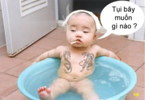 CHUYỆN VUI - ẢNH - THƯ GIÃN CHUYỆN VUI - ẢNH - THƯ GIÃN