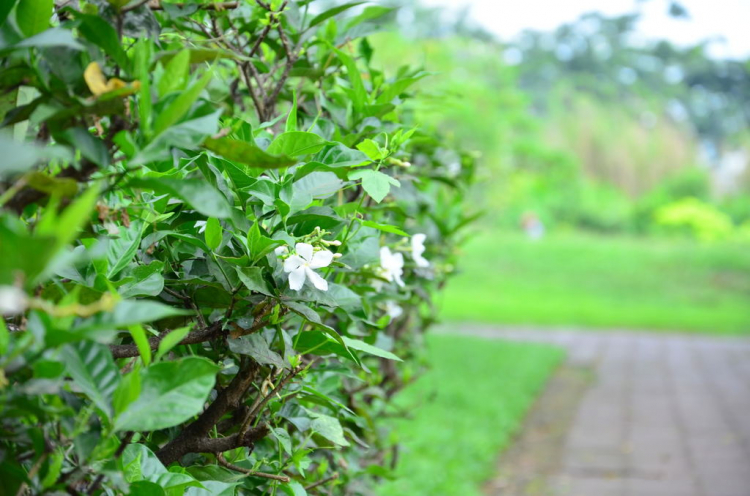 Ni Lông màu nịnh mắt đến đáng sợ