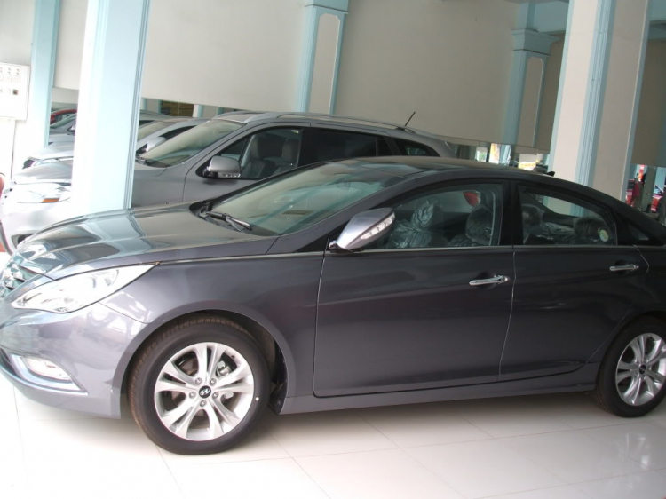 Sonata Y20, Xám Ghi