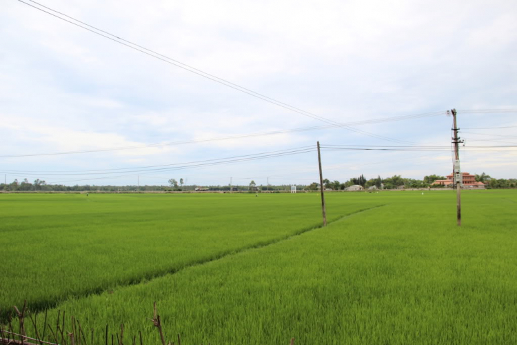 MỘT LẦN XUYÊN VIỆT MỘT LẦN XUYÊN VIỆT