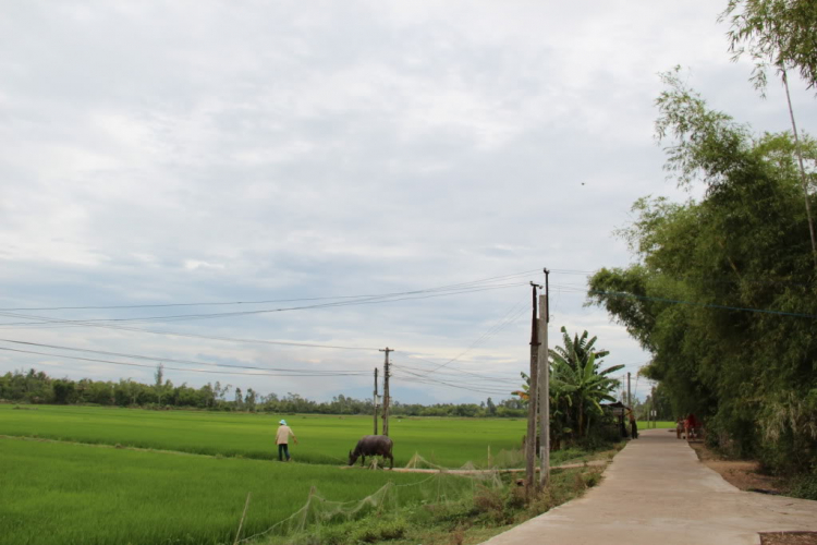 MỘT LẦN XUYÊN VIỆT MỘT LẦN XUYÊN VIỆT