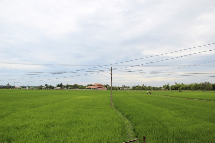 MỘT LẦN XUYÊN VIỆT MỘT LẦN XUYÊN VIỆT
